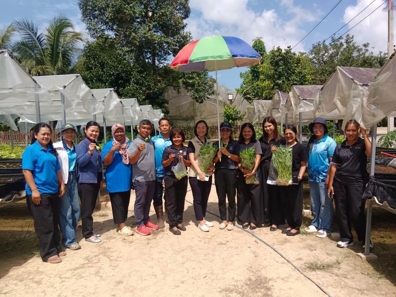 🧜‍พช.สงขลา ทีมนิเทศโซนสันติสุข ติดตามงานพัฒนาชุมชนอำเภอนาทวี ลงแปลงผักยกแคร่ - ธนาคารผัก - ครัวเรือนยากจน